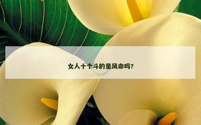 女人十个斗的是凤命吗?