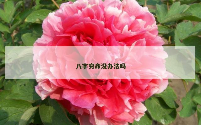 八字穷命没办法吗