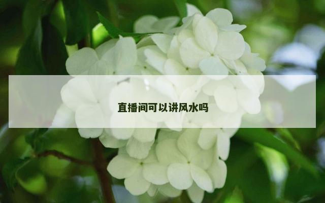直播间可以讲风水吗