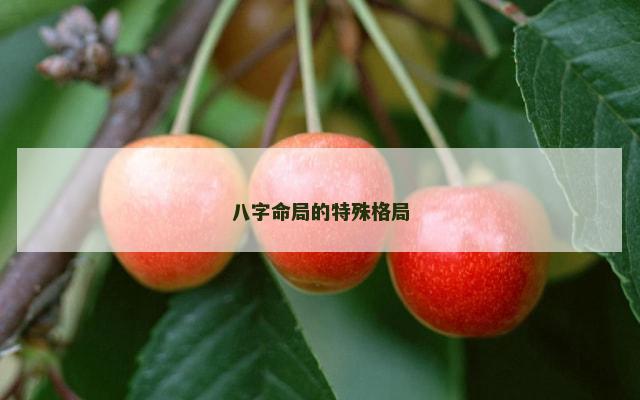 八字命局的特殊格局