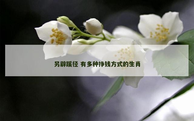 另辟蹊径 有多种挣钱方式的生肖