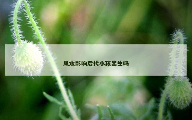 风水影响后代小孩出生吗