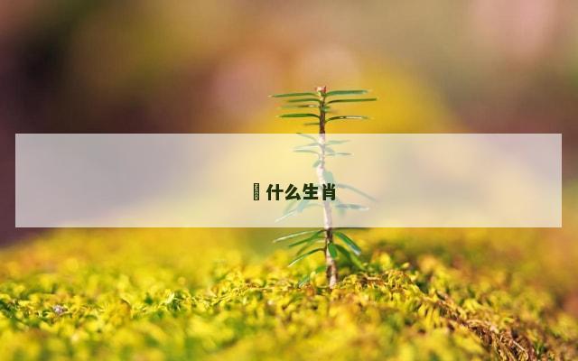 媋什么生肖