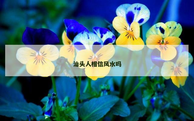汕头人相信风水吗