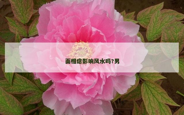 面相痣影响风水吗?男