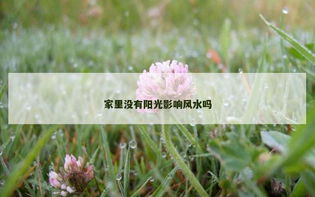 家里没有阳光影响风水吗