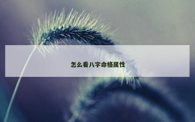 怎么看八字命格属性