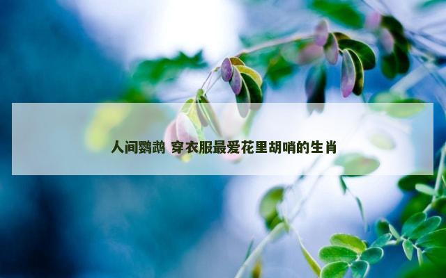 人间鹦鹉 穿衣服最爱花里胡哨的生肖