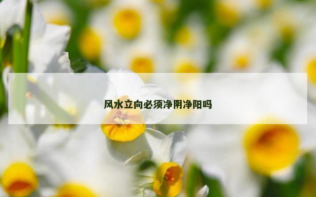 风水立向必须净阴净阳吗