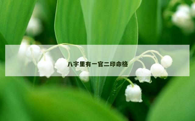 八字里有一官二印命格