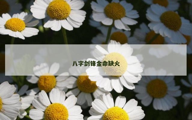 八字剑锋金命缺火
