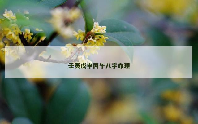 壬寅戊申丙午八字命理