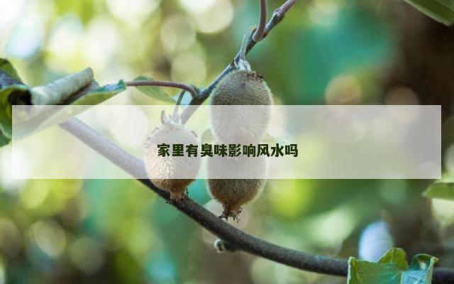 家里有臭味影响风水吗