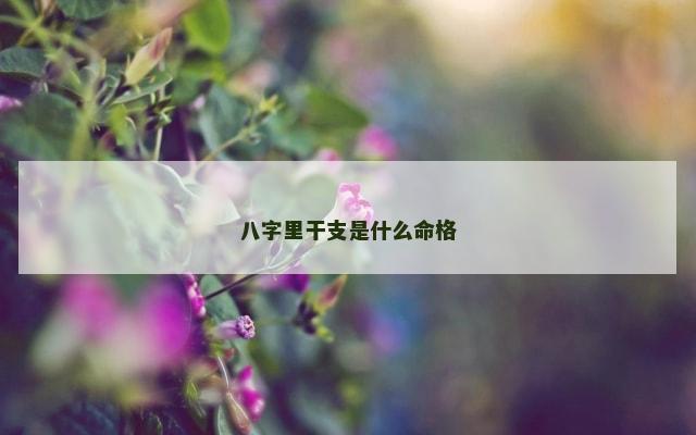 八字里干支是什么命格