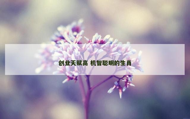 创业天赋高 机智聪明的生肖