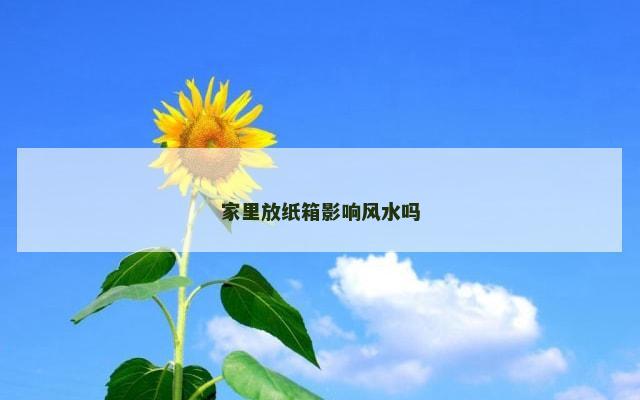 家里放纸箱影响风水吗