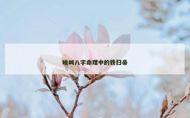 啥叫八字命理中的铁扫帚