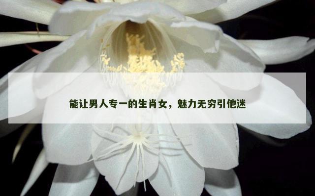 能让男人专一的生肖女，魅力无穷引他迷