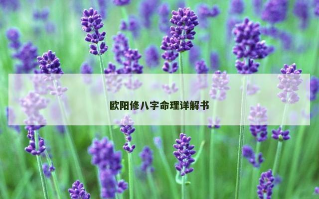 欧阳修八字命理详解书