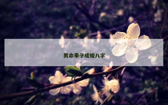 男命奉子成婚八字