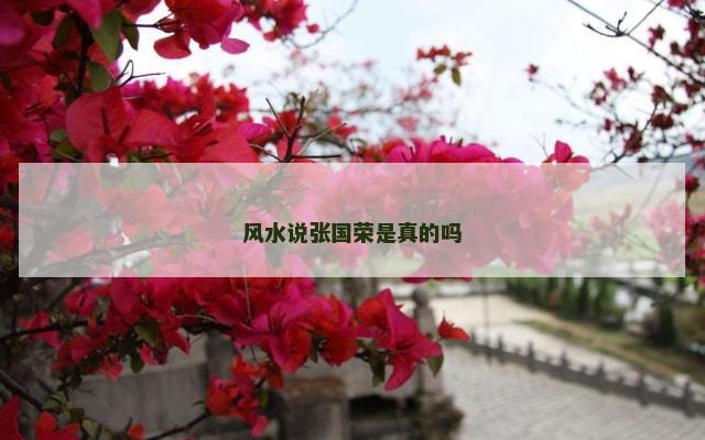 风水说张国荣是真的吗