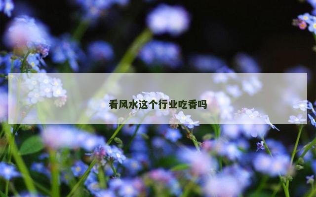 看风水这个行业吃香吗