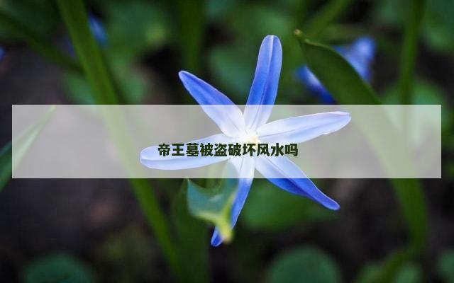 帝王墓被盗破坏风水吗