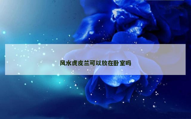 风水虎皮兰可以放在卧室吗
