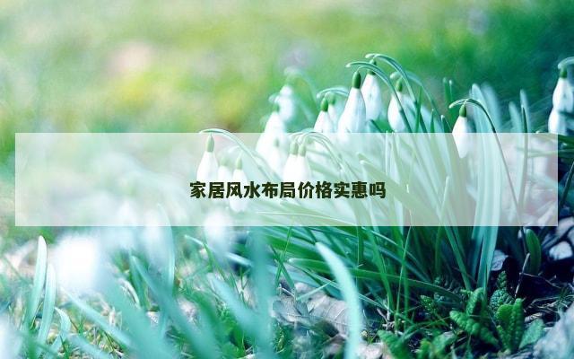 家居风水布局价格实惠吗