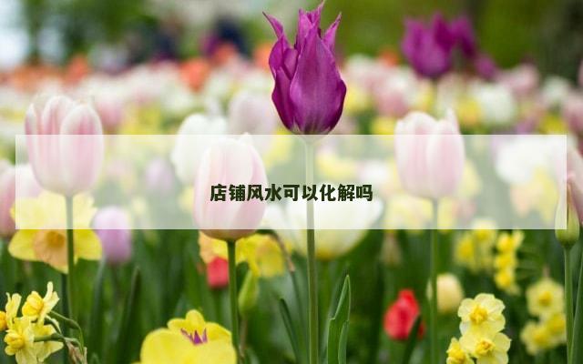 店铺风水可以化解吗