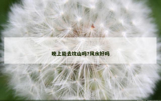 晚上能去坟山吗?风水好吗