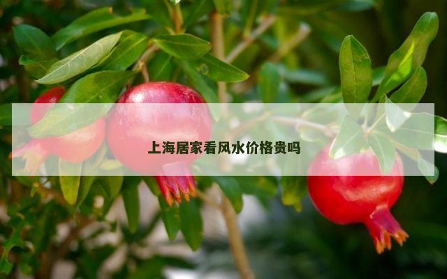 上海居家看风水价格贵吗