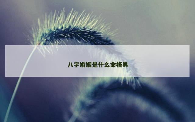 八字婚姻是什么命格男