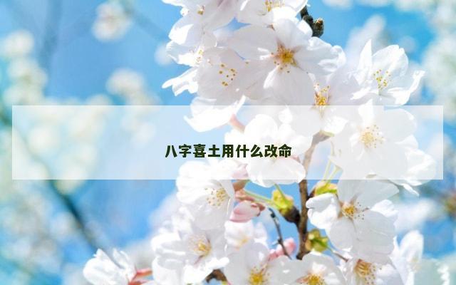 八字喜土用什么改命
