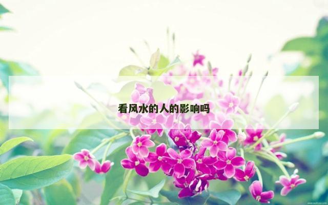 看风水的人的影响吗
