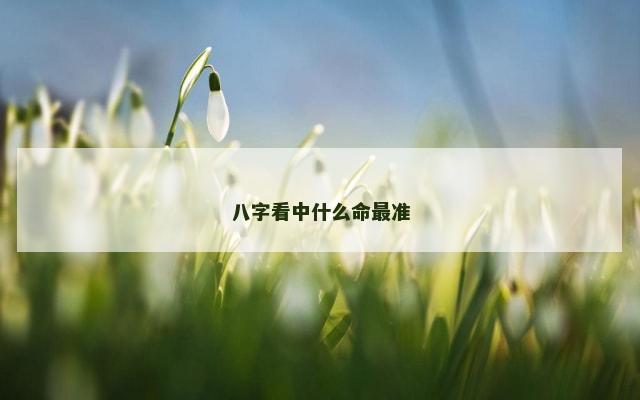 八字看中什么命最准