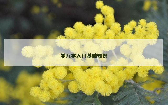 学八字入门基础知识