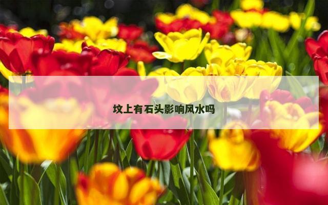 坟上有石头影响风水吗