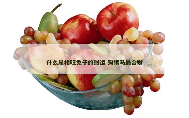 什么属相旺兔子的财运 狗猪马最合财
