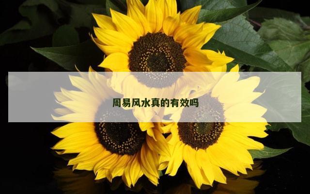 周易风水真的有效吗