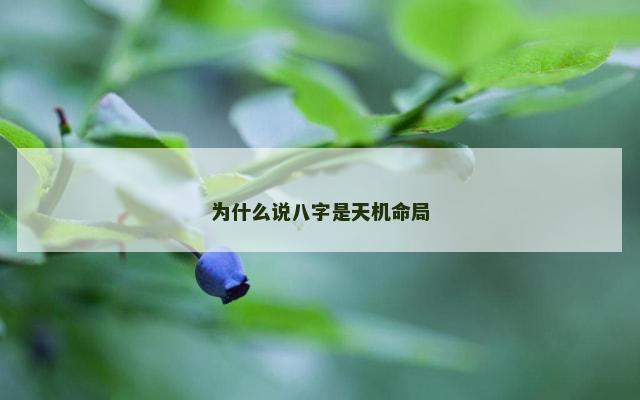 为什么说八字是天机命局