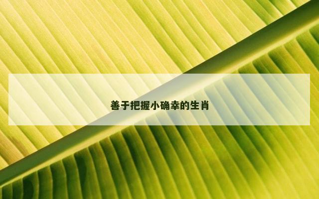 善于把握小确幸的生肖