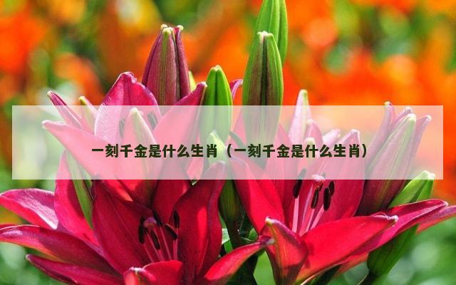 一刻千金是什么生肖（一刻千金是什么生肖）