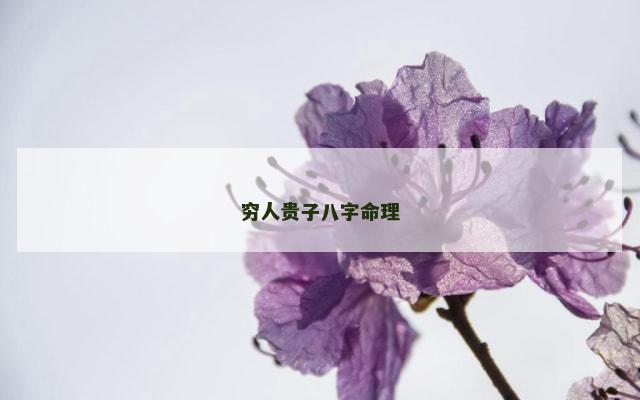 穷人贵子八字命理