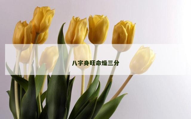 八字身旺命燥三分