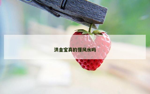 洪金宝真的懂风水吗
