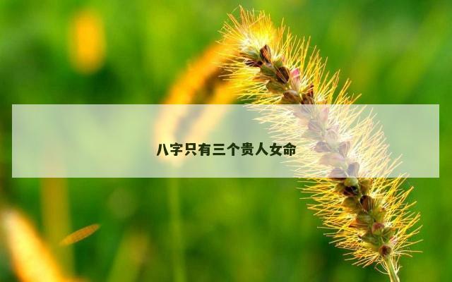 八字只有三个贵人女命
