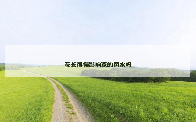 花长得慢影响家的风水吗