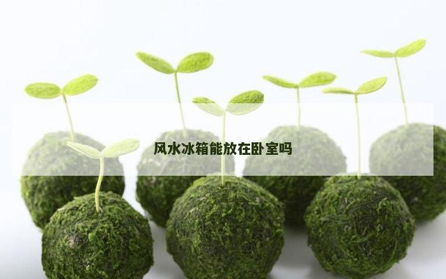 风水冰箱能放在卧室吗
