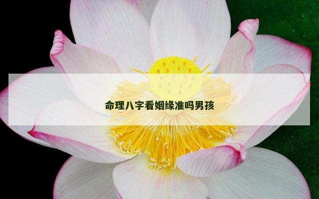 命理八字看姻缘准吗男孩